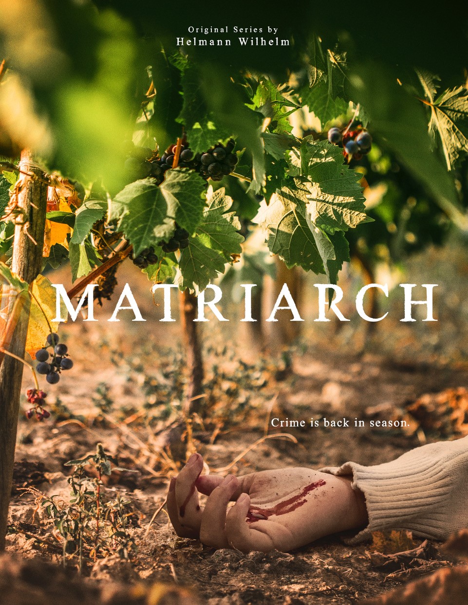 Matriarch, original series, TV, created by Helmann Wilhelm, writer, Canada, Better Call Saul, Fargo, crime, drama